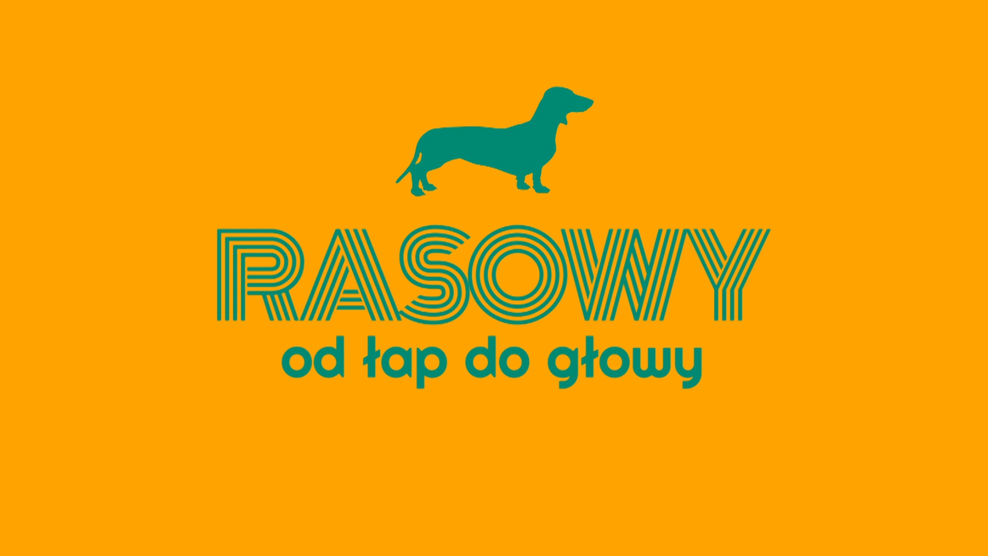 „Rasowy od łap do głowy” - czołówka