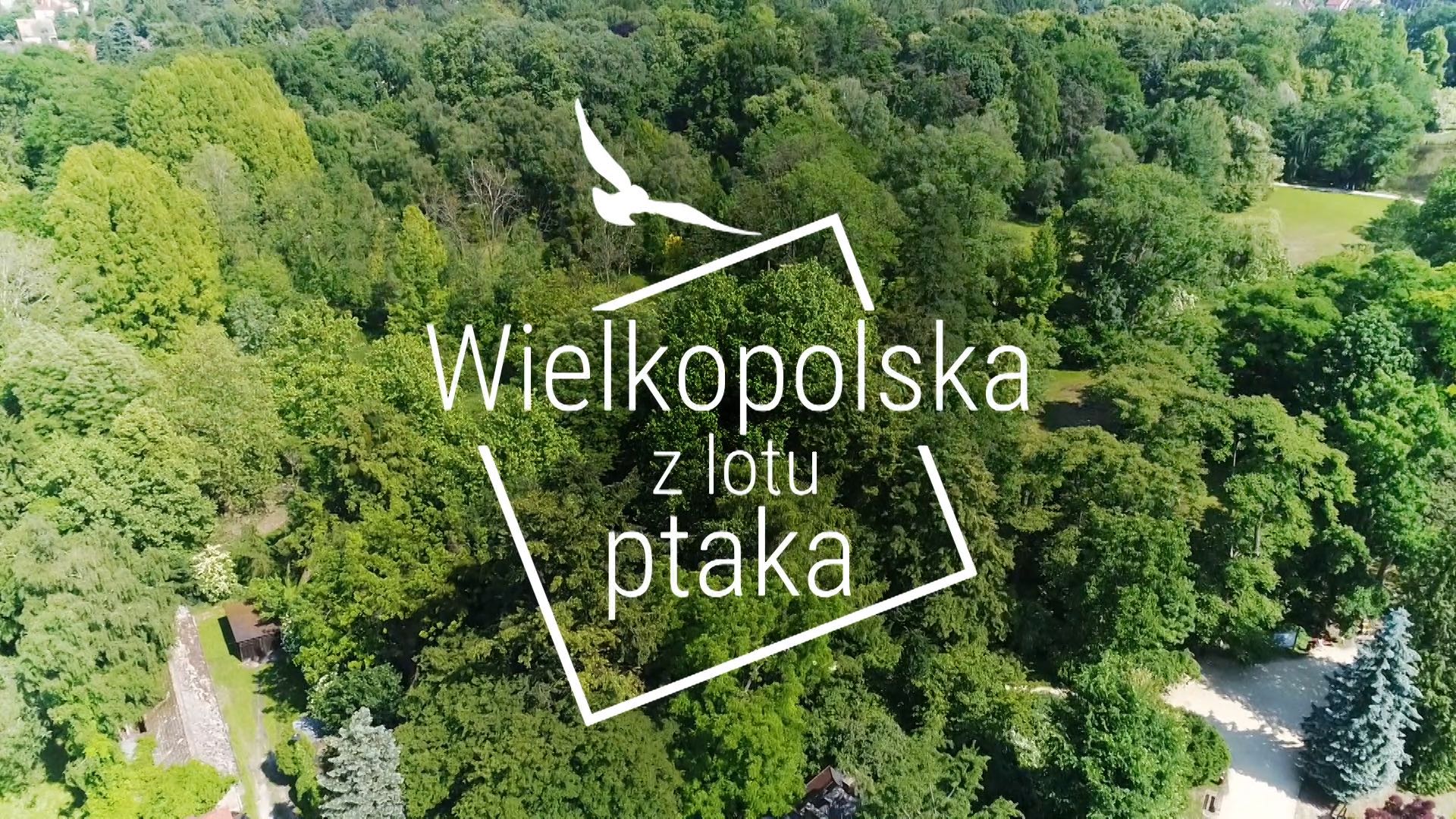 „Wielkopolska z lotu ptaka” - czołówka